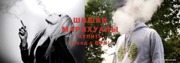 PSILOCYBIN Рославль