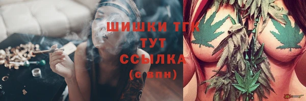 PSILOCYBIN Рославль