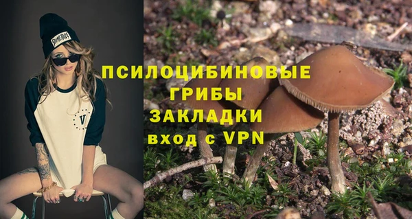синтетический гашиш Ленинск-Кузнецкий