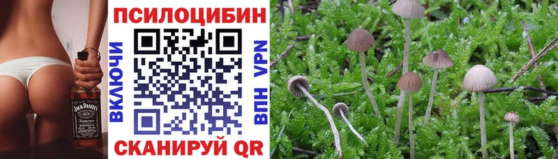 Галлюциногенные грибы ЛСД  Урень 